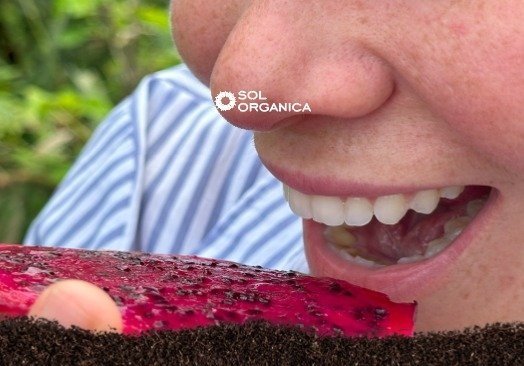 Intentionally Sensory: How Color, Texture, and Aroma Are Shaping the Next Wave of Product Innovation