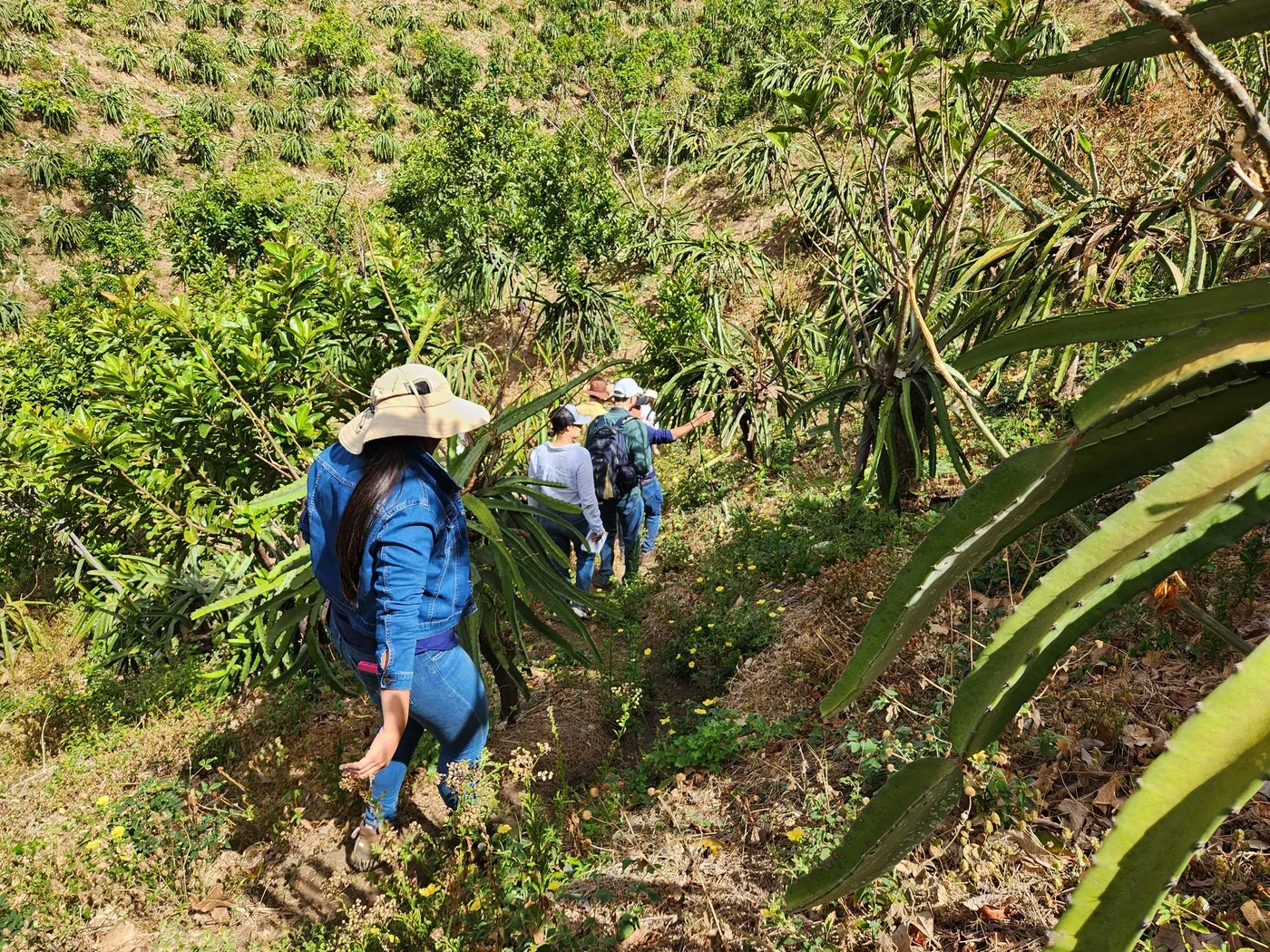 Climate Volatility and the Case for Regenerative Sourcing in the Tropics