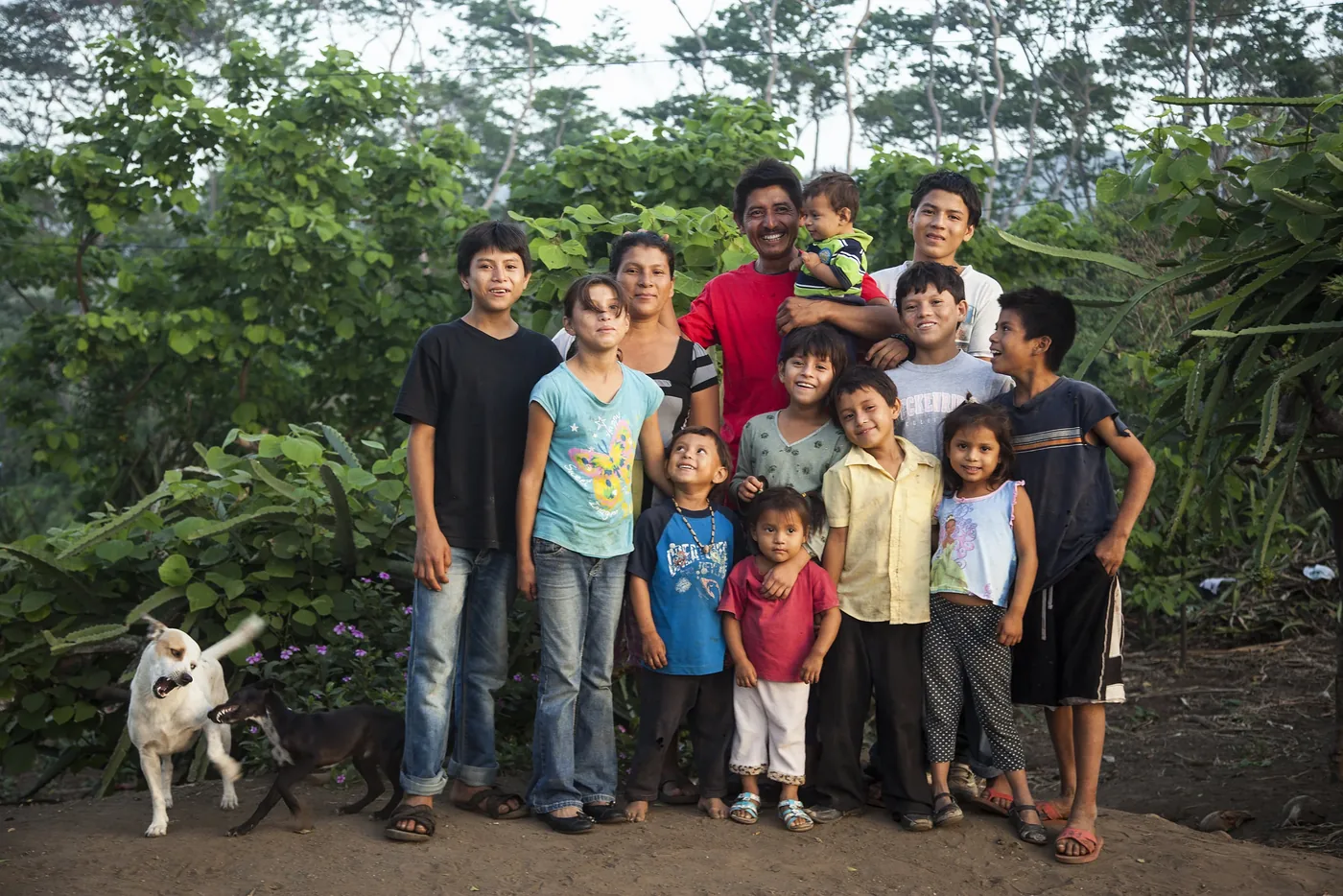 Farming for the Future: Unpacking Organic, Agroecology, and Regenerative Practice