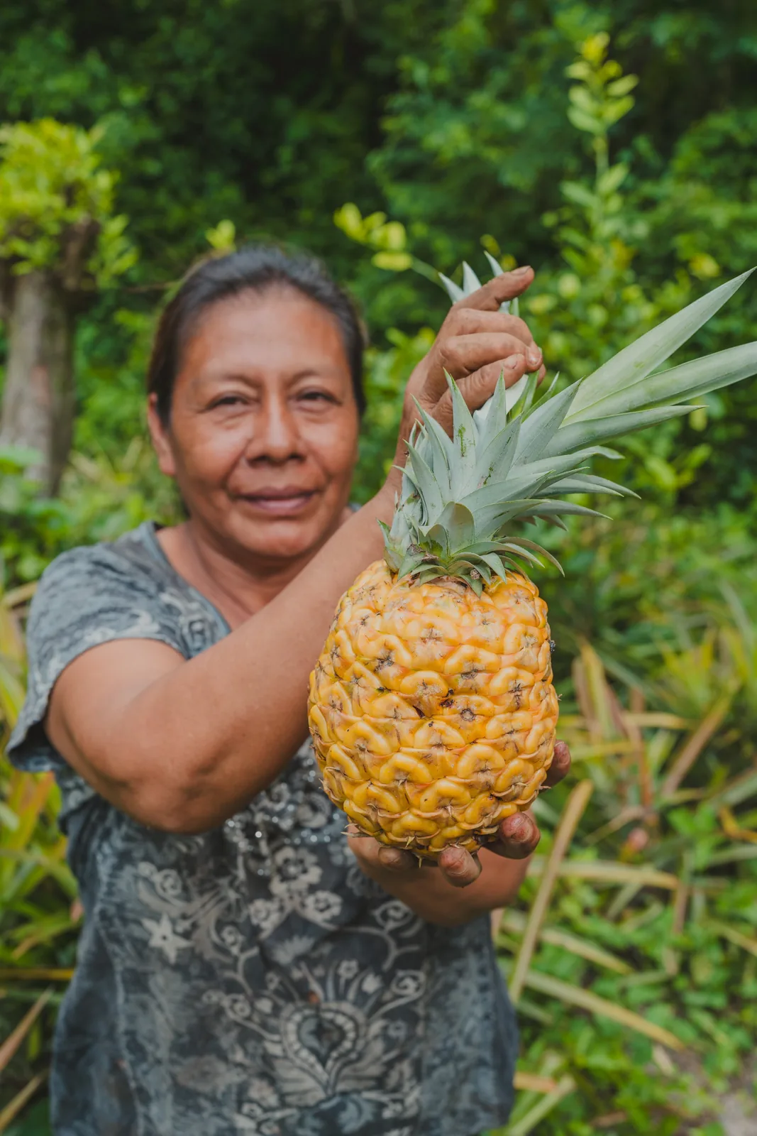 TRACEABILITY IN TROPICAL FRUIT SOURCING