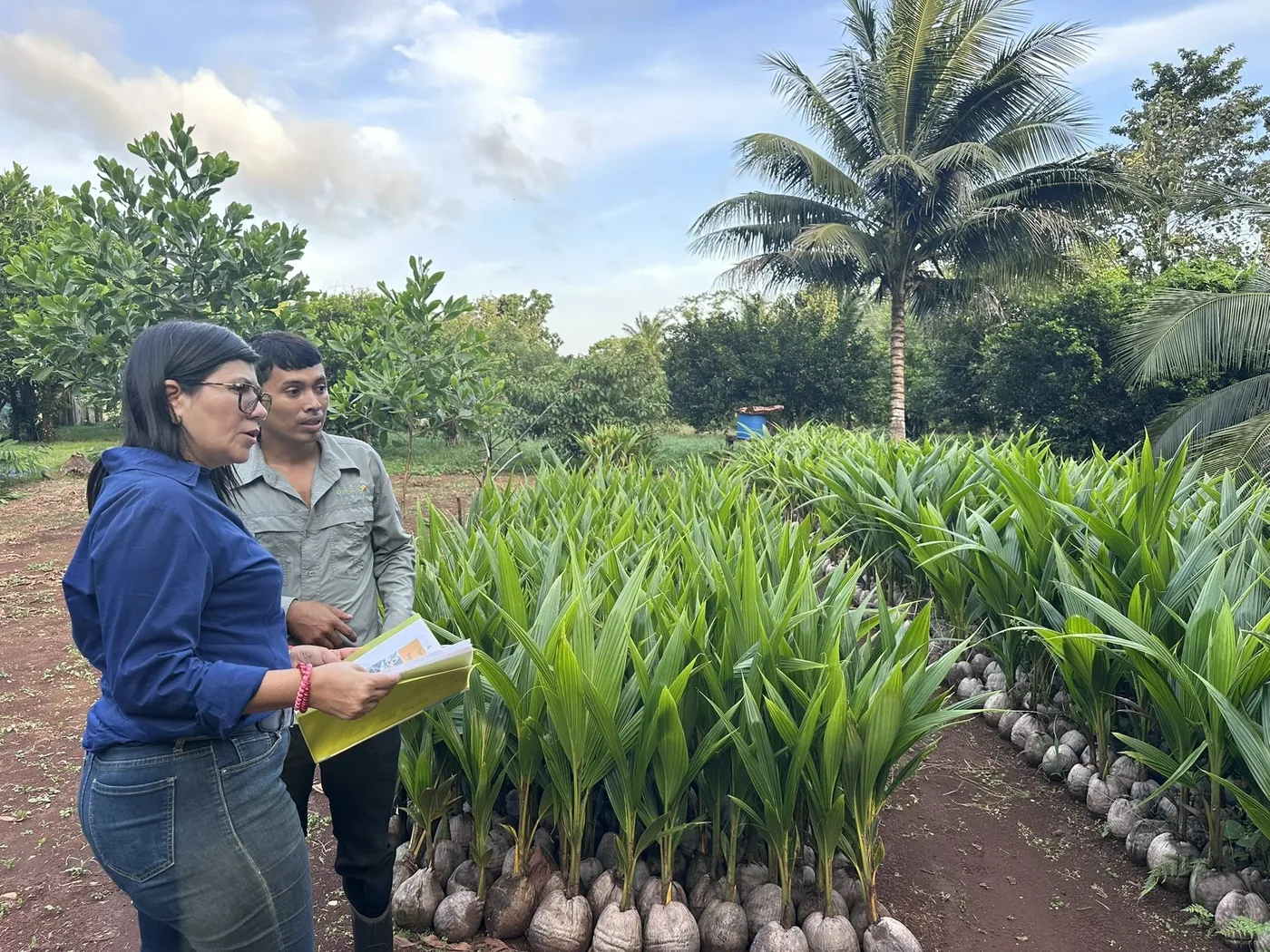 Regenerating the Foundation: How Sol Organica Builds Living Soils from the Ground Up 🌱