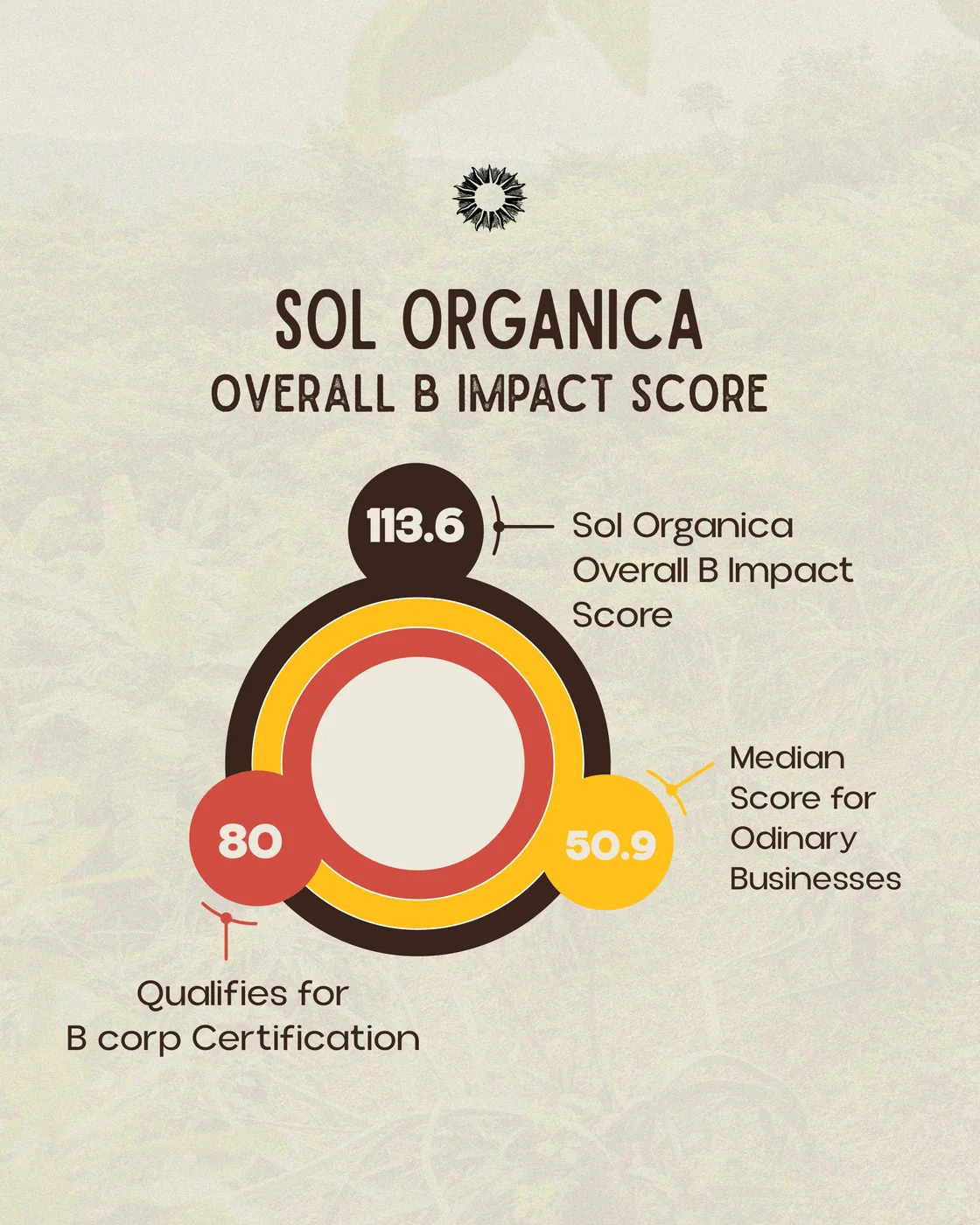 MARZO SOL ORGANICA 2025_Mesa de trabajo 1 copia 2.png