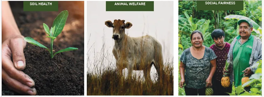 Rethinking Our Food System