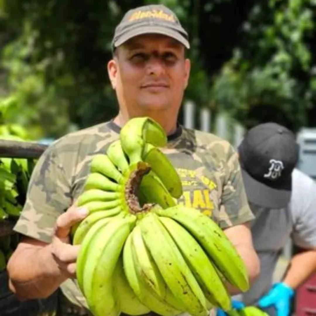 Don Santos Talavera: Cultivating Quality and Legacy in Organic Banana Farming